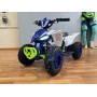 Motoland ATV E010 1000Вт синий
