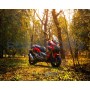 Скутер Regulmoto XDV PRO 300CC 25л.с. EFI