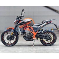 Regulmoto VENOM (194MQ 450см3 40л.с.)