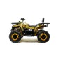 Квадроцикл Motoland 200 WILD TRACK X ( ATV) ( 200 см³, 15 л.с., баланс. вал )