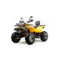Квадроцикл Motoland 200 WILD TRACK X ( ATV) ( 200 см³, 15 л.с., баланс. вал )