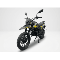 Roliz Alpha URSA PRO EFI 50 (125 см³, 12 л.с.) мопед, инжектор