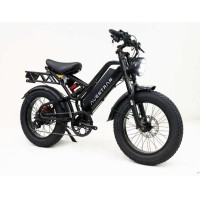 Электровелосипед Raptor 600w
