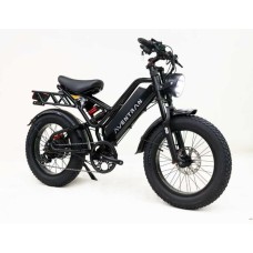 Электровелосипед Raptor 600w