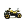 Квадроцикл Motoland 200 WILD TRACK LUX ( ATV) ( 200 см³, 15 л.с., баланс. вал )