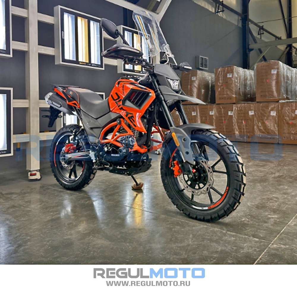 Regulmoto DUKE (175FMN, 300 см³, баланс. вал, 24 л.с.) дорожный мотоцикл с ПТС Regulmoto DUKE (175FMN, 300 см³, баланс. вал, 24 л.с.) дорожный мотоцикл с ПТС