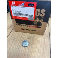 Заглушка Метки ГРМ  крышки генератора  176 YBS YBH 300, 171 YB250R