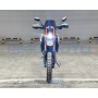 Regulmoto Cyclone  (174MN NB300 300см3 28л.с.) ПТС